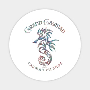 Grand Cayman, Cayman Islands, Seahorse Magnet